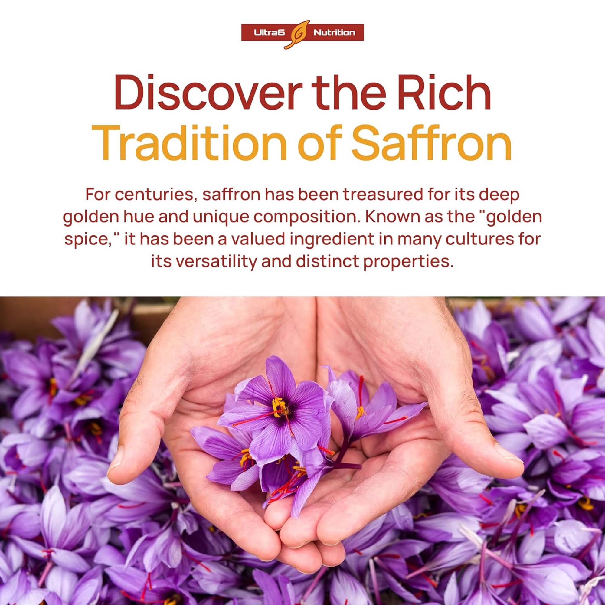Health And Wellness Promotion - Kapsul Ekstrak Saffron, Suplemen Kesehatan Harian