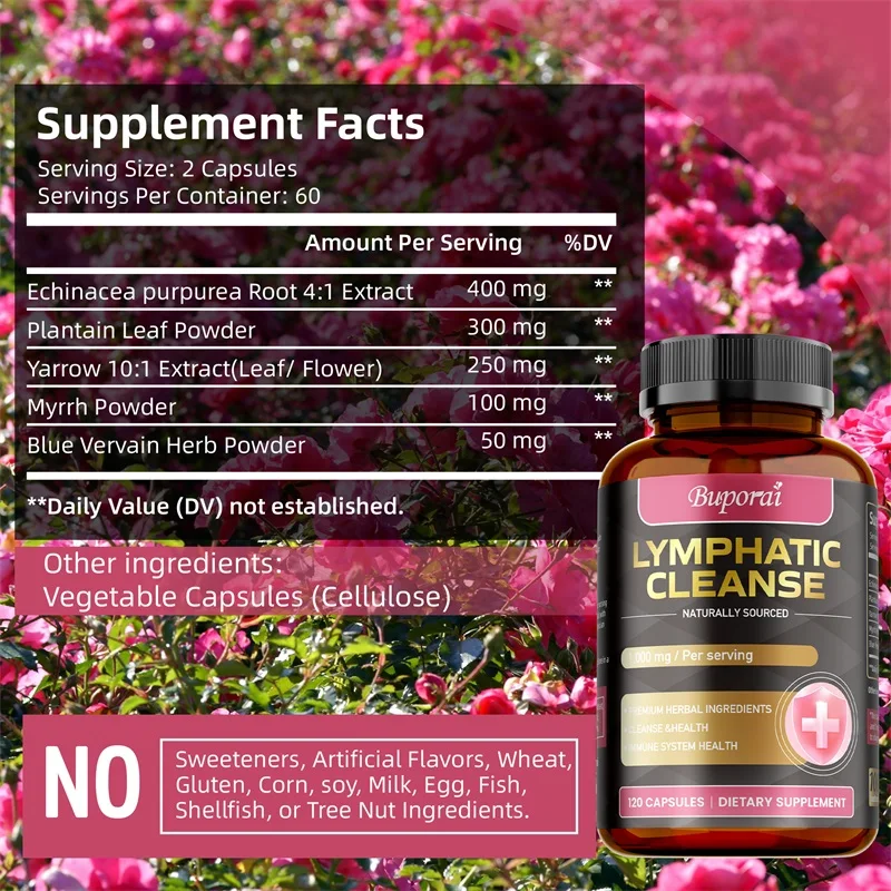 Suplemen Pembersih Limfatik -  - Health And Wellness Promotion ulasan dan harga
