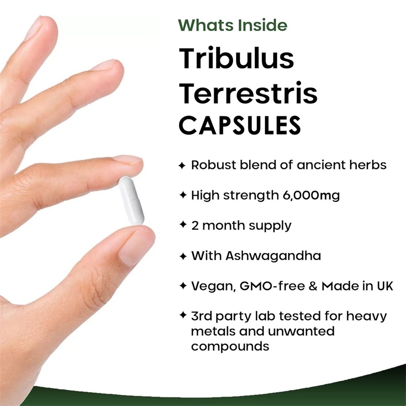 Tribulus Terrestris 6000MG - M - Health And Wellness Promotion ulasan dan harga